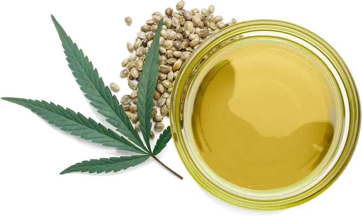 Bulk CBD Ingredients