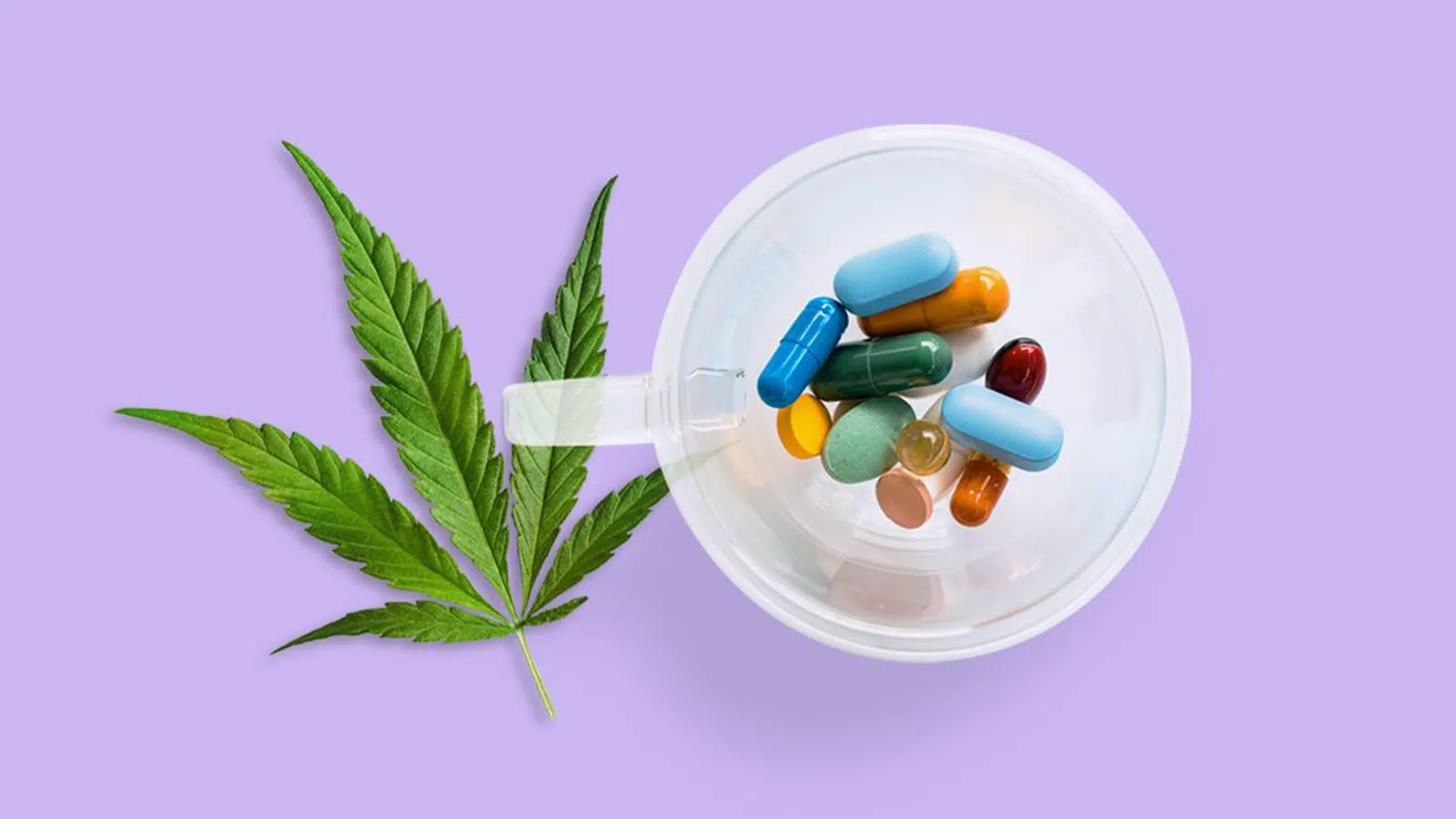 Does CBD Capsules Interact With Medications