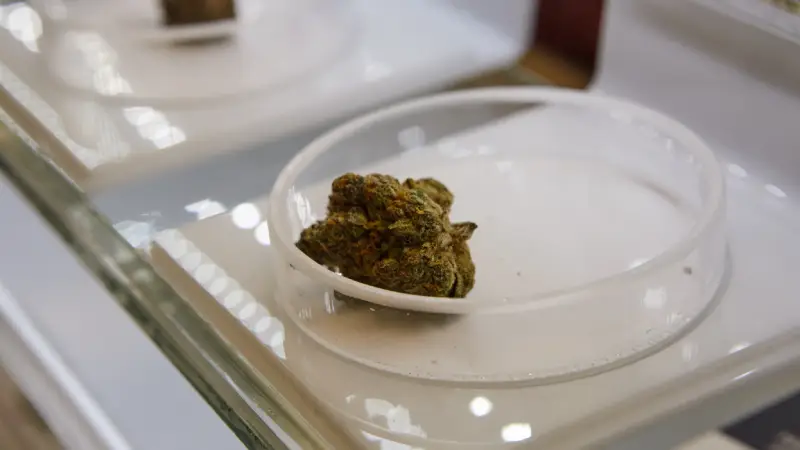 CBD UK Medical